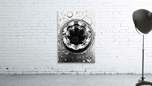 Teardrop pooch Wall Preview
