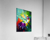 Colibri Acrylic Print