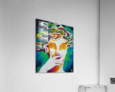 Venus Acrylic Print