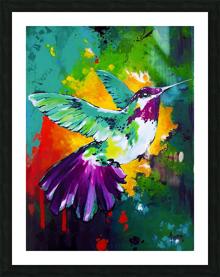 Colibri Picture Frame print