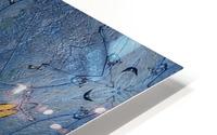 Art24k limited edition HD Metal print