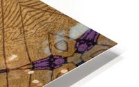 Art24k limited edition HD Metal print