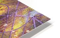 Art24k ltd 30 HD Metal print