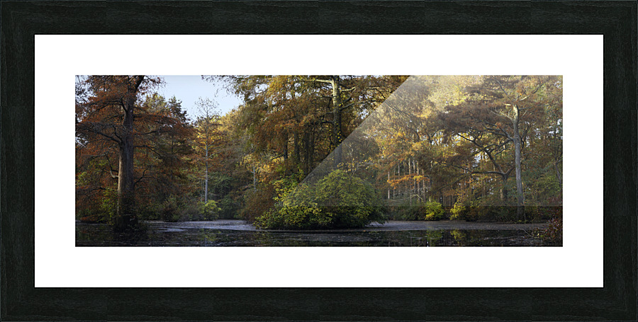 Trussum Pond  Picture Frame print