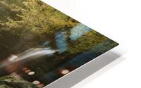 Evening Light HD Metal print