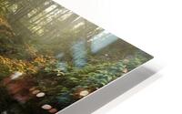 Adams Falls HD Metal print