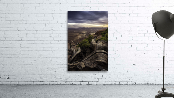 Dead Horse Point Wall Preview