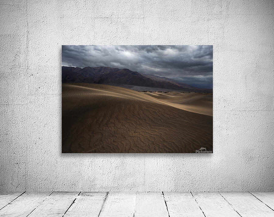Mesquite Mood Wall Preview