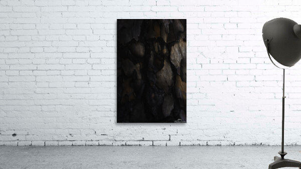 Scared Wall Preview