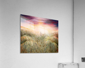 Shepherd s Song Acrylic Print