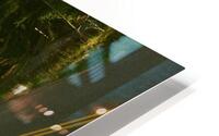 IMG 1032 HD Metal print