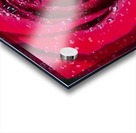 Raindrop Rose Acrylic print