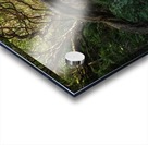Karekake Waterfall Trail Acrylic print