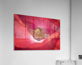 Poppy Flower Acrylic Print