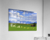 Green Fields Acrylic Print