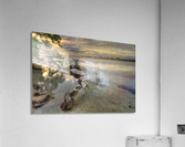 Dead Tree at Sunset Acrylic Print