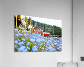 Icy Strait Point Acrylic Print