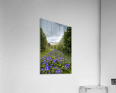 Dunrobin Castle Acrylic Print