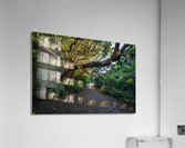 Karekake Waterfall Trail Acrylic Print