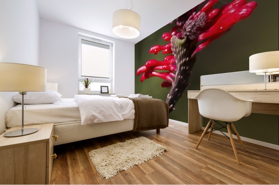 Red Flower Mural print
