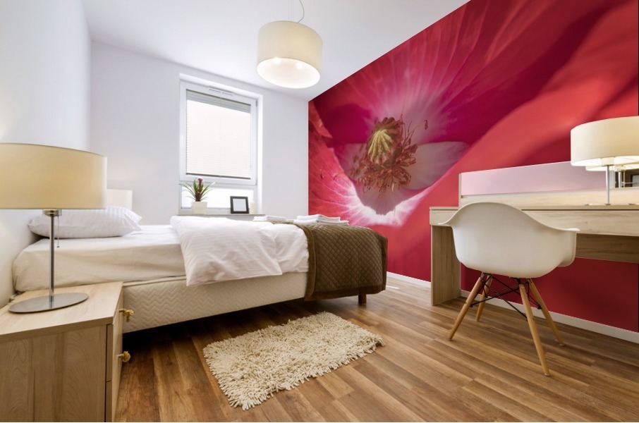Poppy Flower Mural print