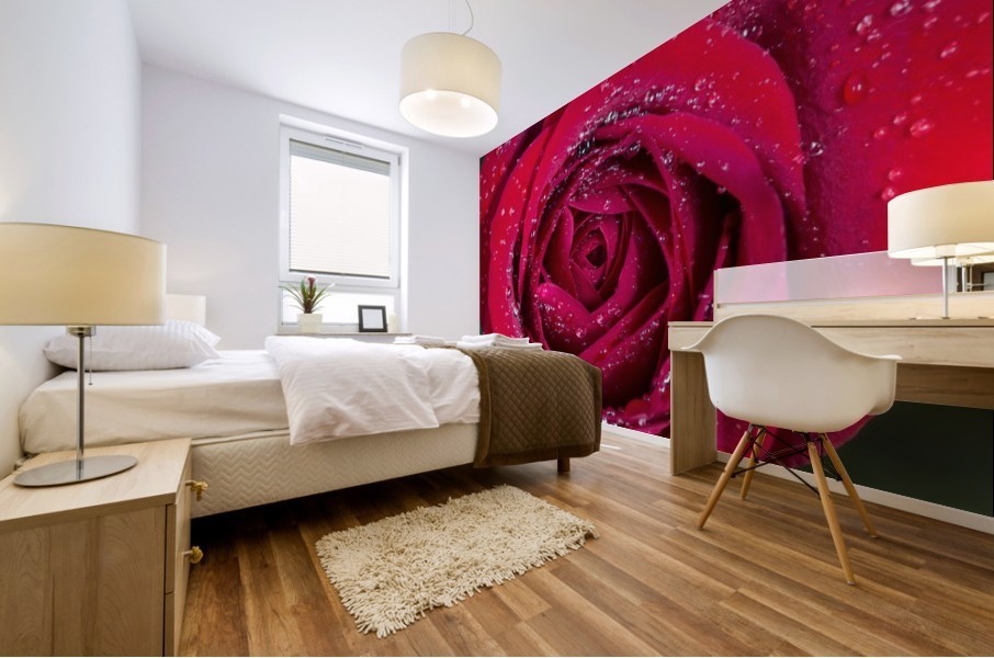 Raindrop Rose Mural print