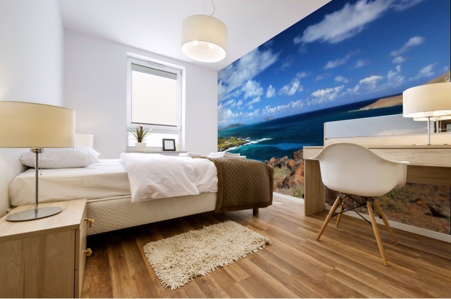 Makapuu Beach Mural print