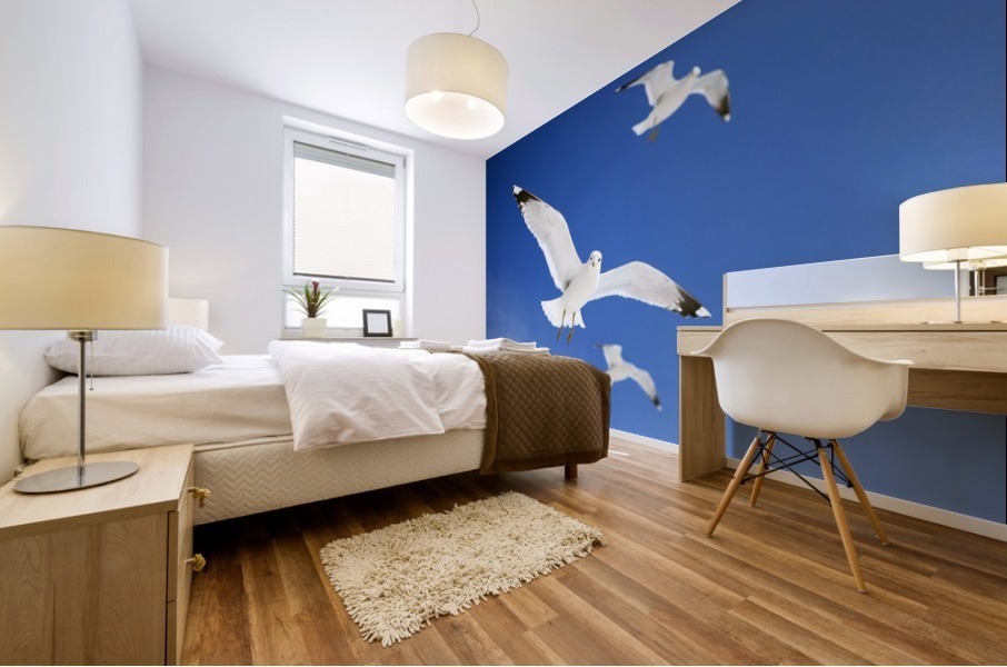 Seagulls Mural print