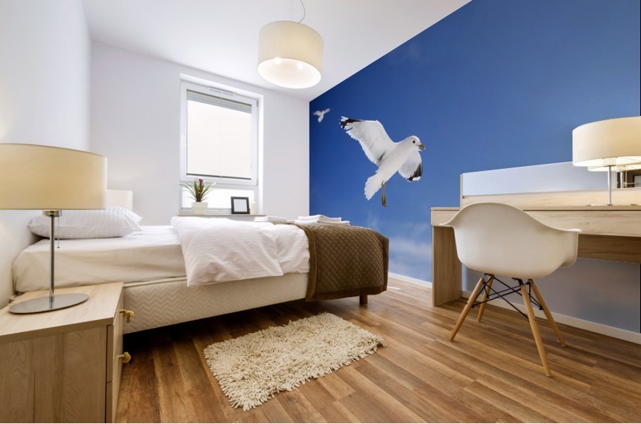 Seagulls Mural print
