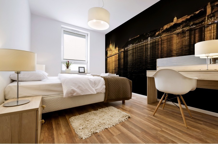 Budapest Reflections Mural print