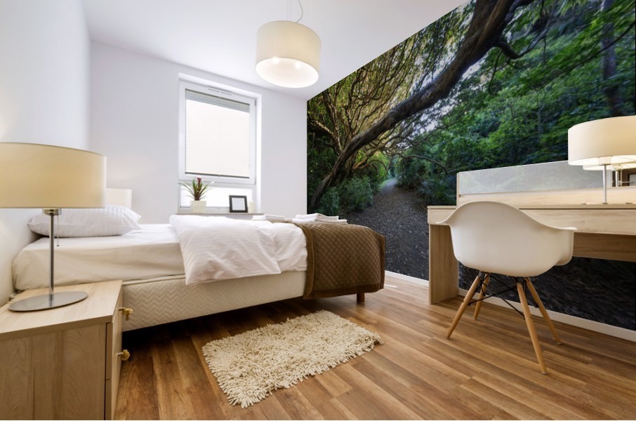Karekake Waterfall Trail Mural print