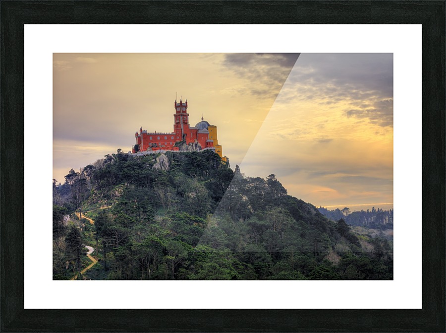 Pena Castle Picture Frame print