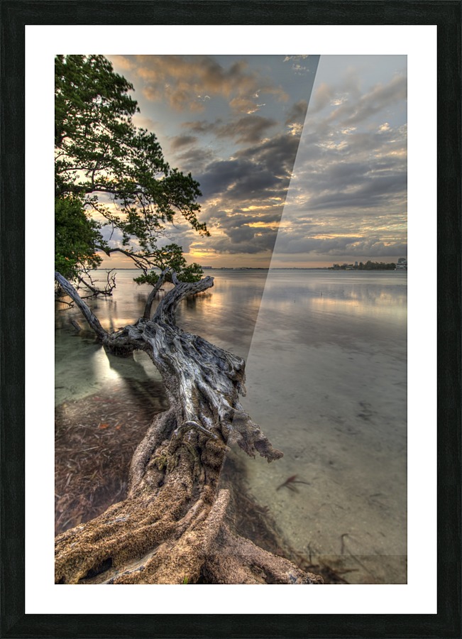 Dead Tree at Sunset Picture Frame print