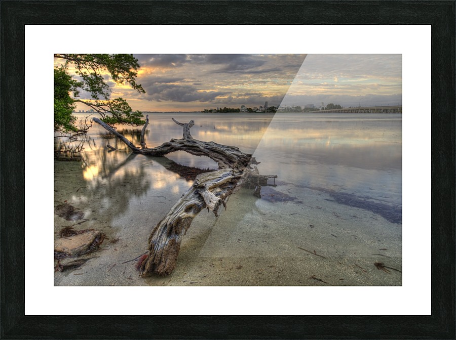 Dead Tree at Sunset Picture Frame print