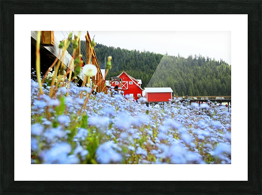 Icy Strait Point Picture Frame print