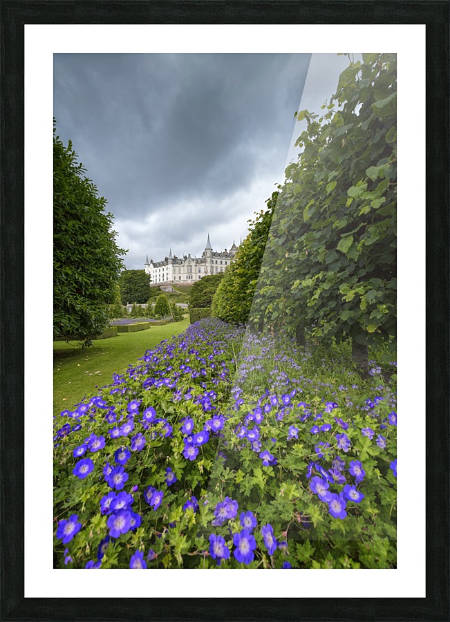 Dunrobin Castle Picture Frame print