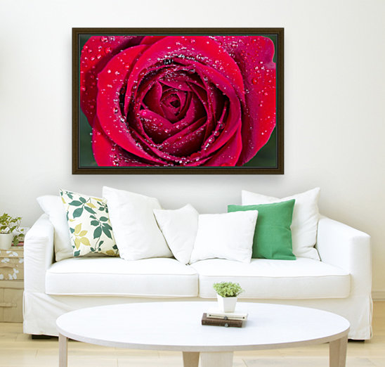 Raindrop Rose Reproduction