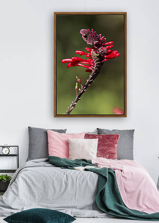Red Flower Reproduction