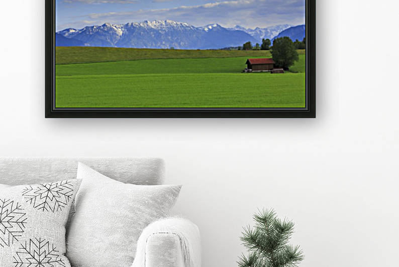 Green Fields Reproduction