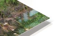 Abandoned Hut HD Metal print