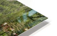 The Green Lake HD Metal print