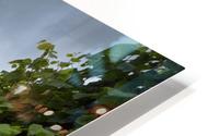 Dunrobin Castle HD Metal print