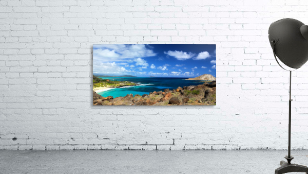 Makapuu Beach Wall Preview