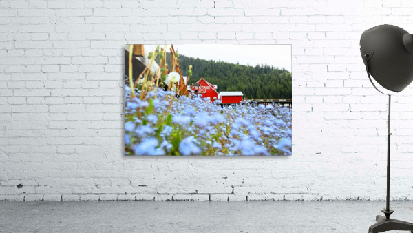Icy Strait Point Wall Preview