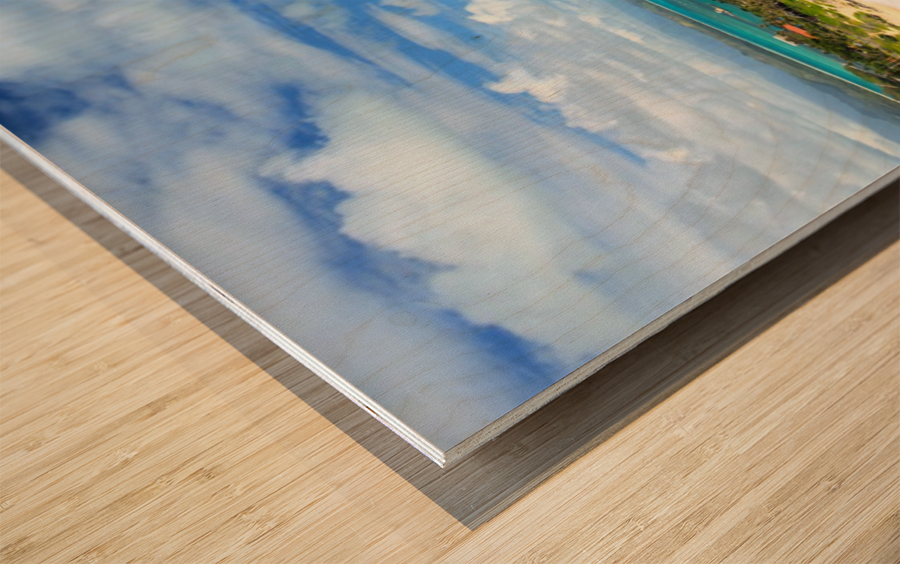 Makapuu Beach Wood print