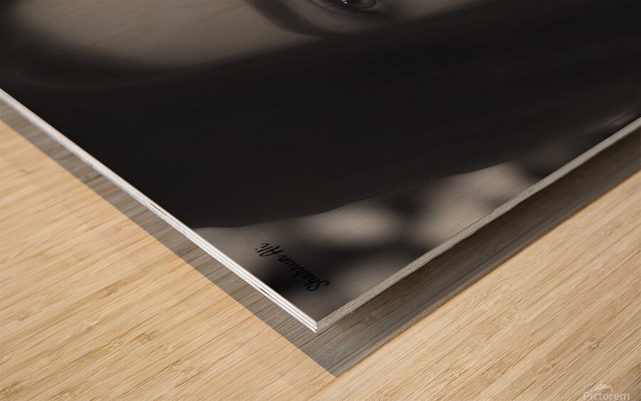 Enigmas Smile Wood print