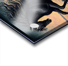 Black Horse On The Beach Acrylic print