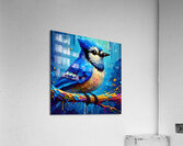Blue Jay Painting Acrylic Print