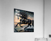 Black Horse On The Beach Acrylic Print