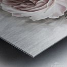 Abstract Rose Metal print